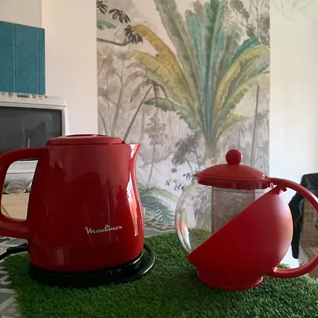 Joli T2 Avec Grande Terrasse Centre