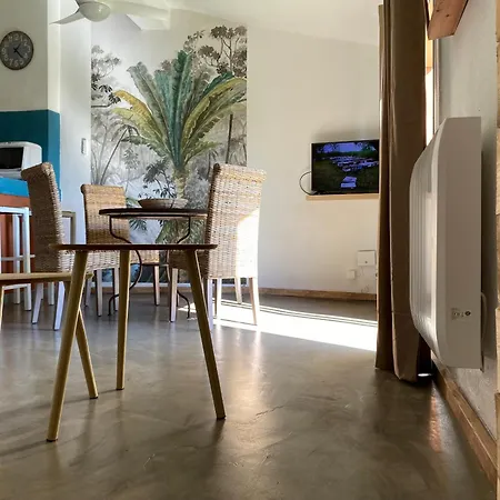 Joli T2 Avec Grande Terrasse Centre *