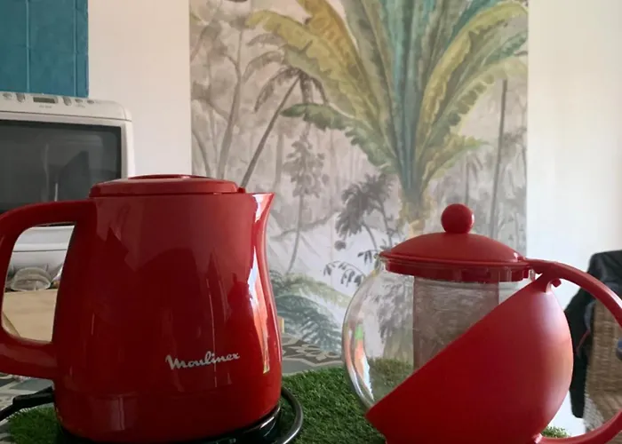 Joli T2 Avec Grande Terrasse Centre